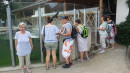 fotografie